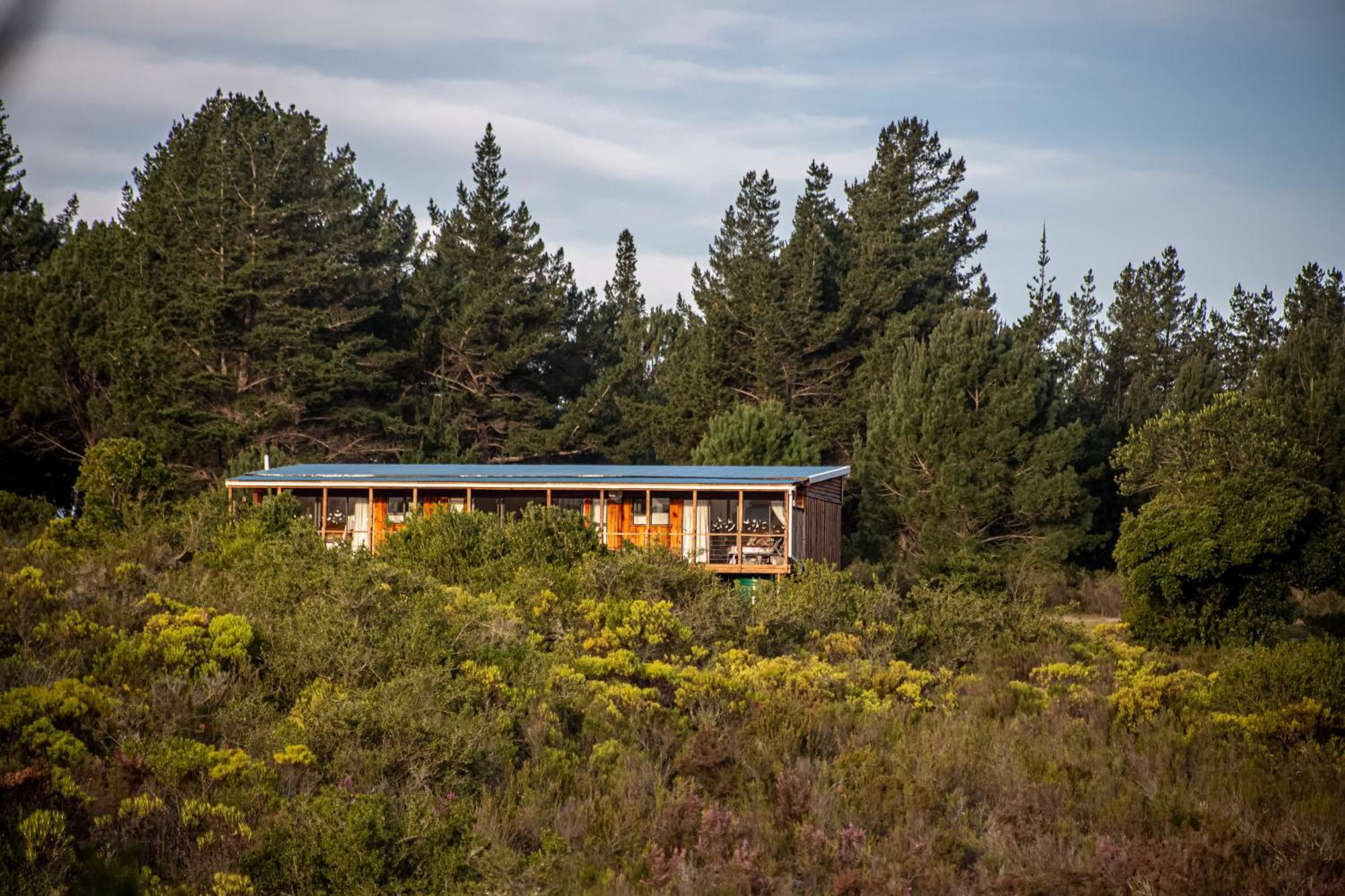 Equleni Guest Farm Sedgefield Exterior foto