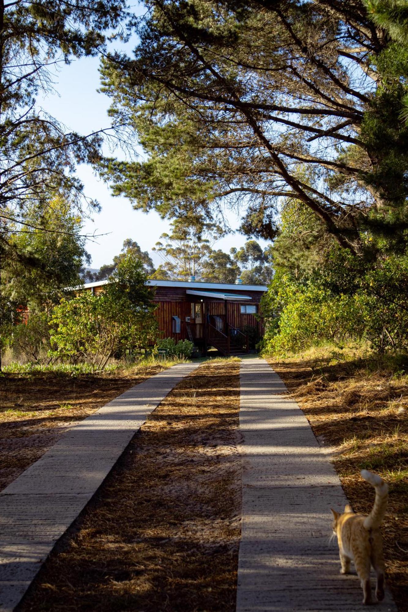 Equleni Guest Farm Sedgefield Exterior foto